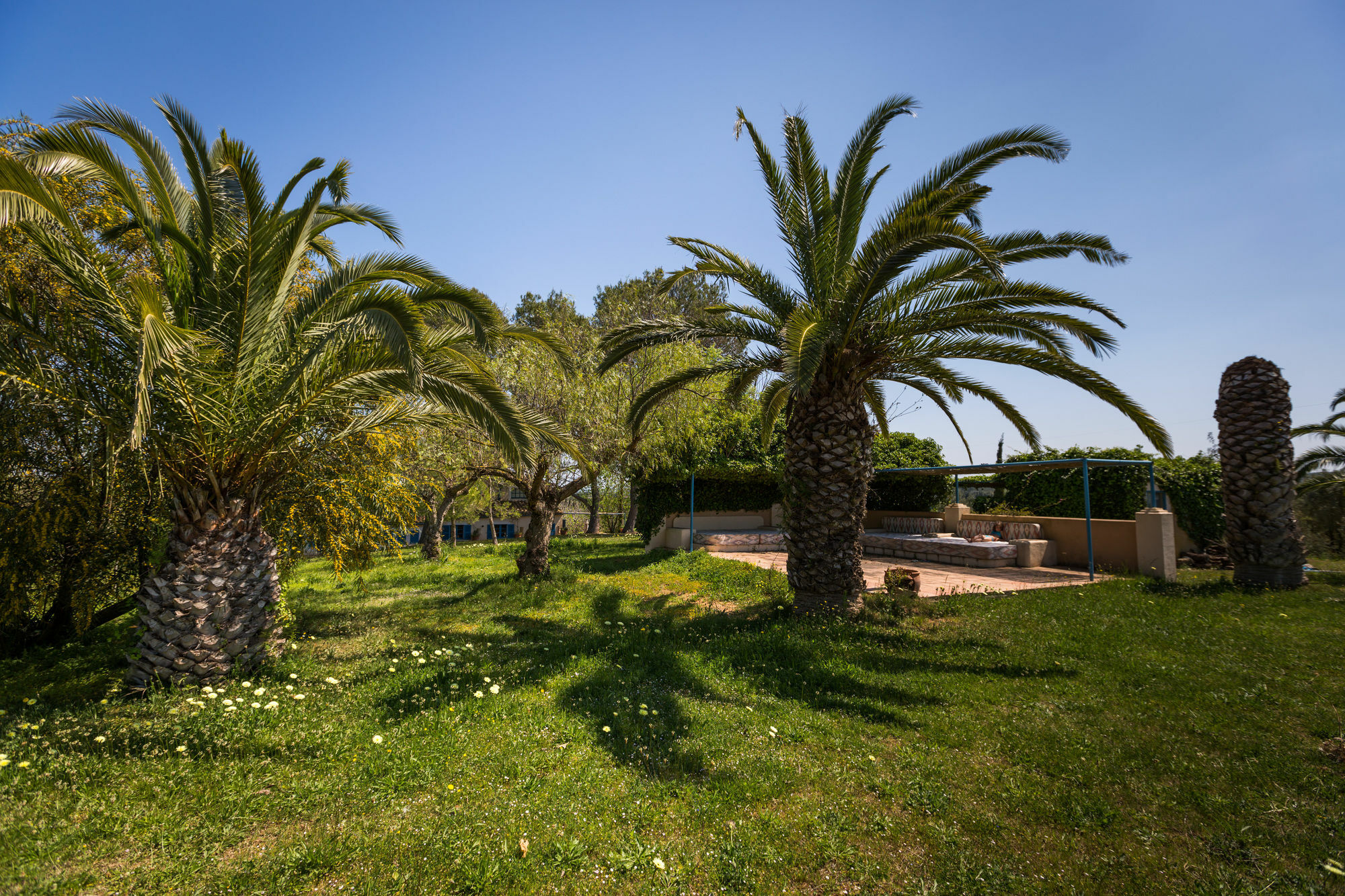 Finca Son Miranda - La Organic センセリェス エクステリア 写真