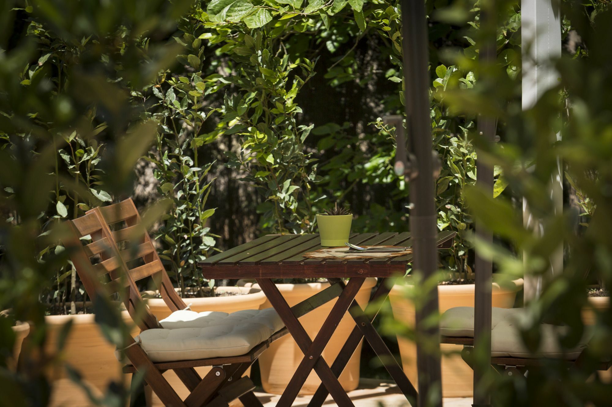 Finca Son Miranda - La Organic センセリェス エクステリア 写真