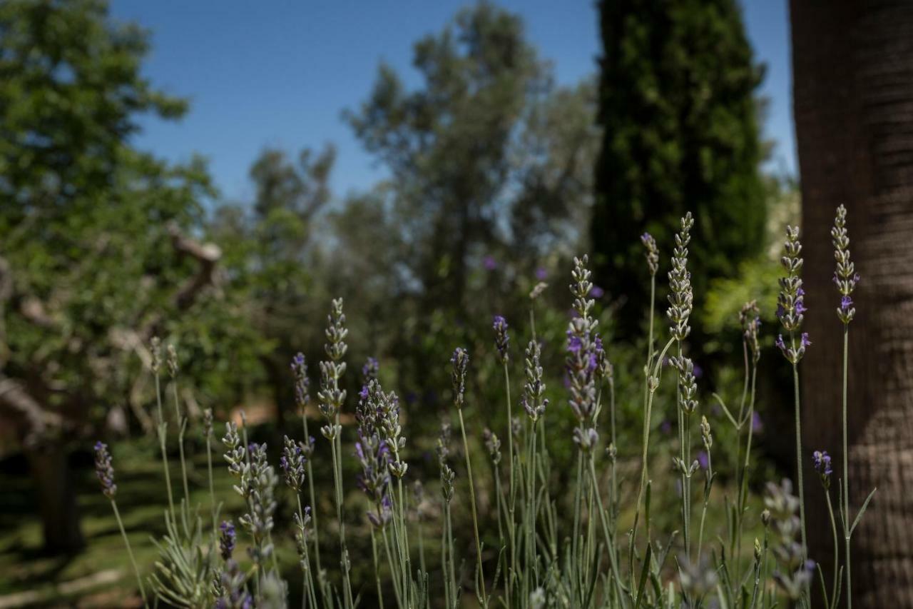 Finca Son Miranda - La Organic センセリェス エクステリア 写真