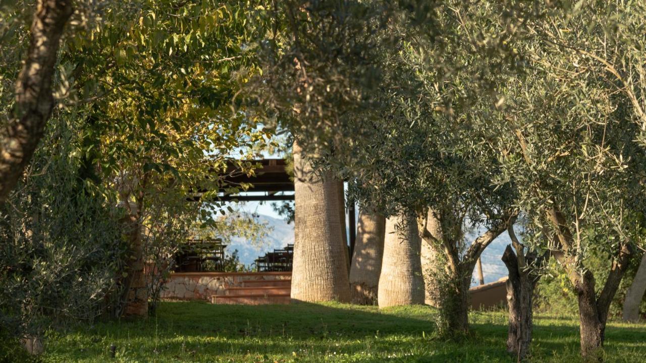 Finca Son Miranda - La Organic センセリェス エクステリア 写真