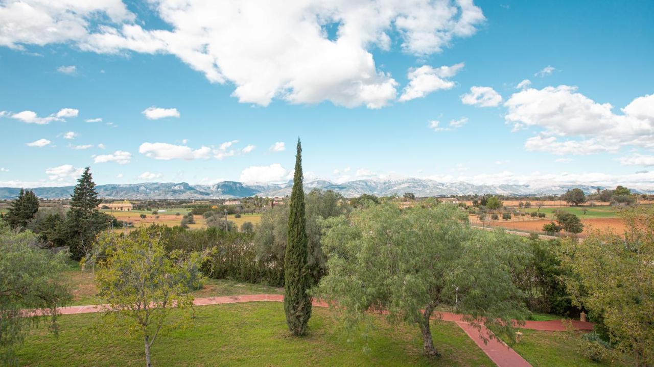 Finca Son Miranda - La Organic センセリェス エクステリア 写真